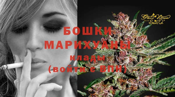 гидра Белоозёрский